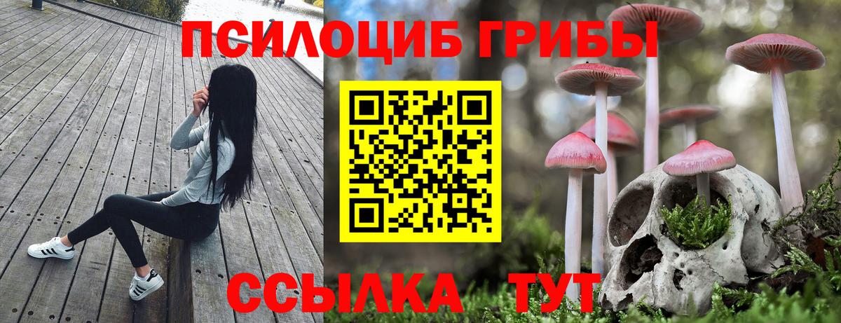 Псилоцибиновые грибы мицелий  Вход с VPN  Карпинск  Галлюциногенные грибы MAGIC MUSHROOMS 
