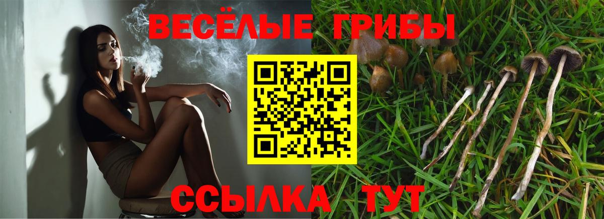 Галлюциногенные грибы Magic Shrooms Карпинск